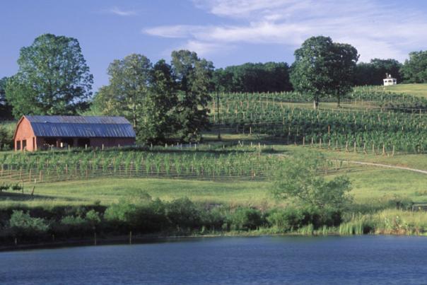 Springtime in the Mountains