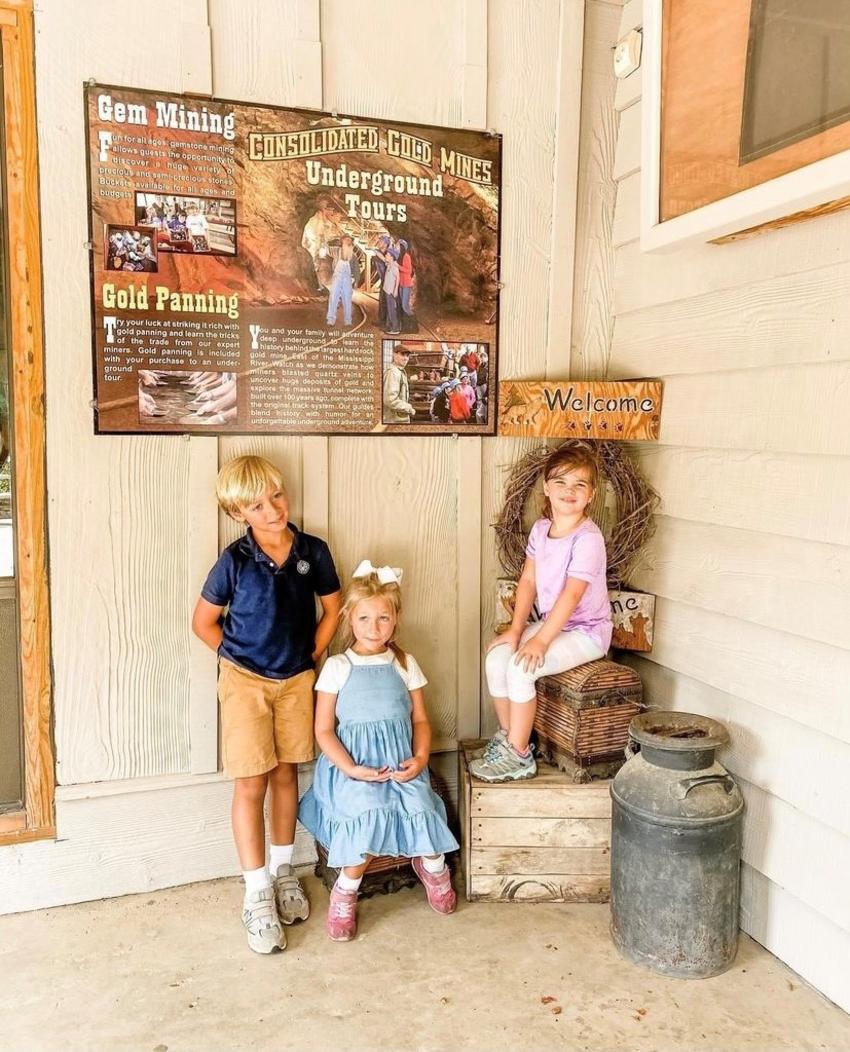 Consolidated Gold Mine - Family