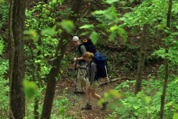 Adventure Awaits in Dahlonega