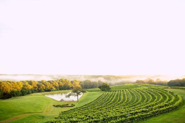 Montaluce Winery - Credit Montaluce Winery & Restaurant