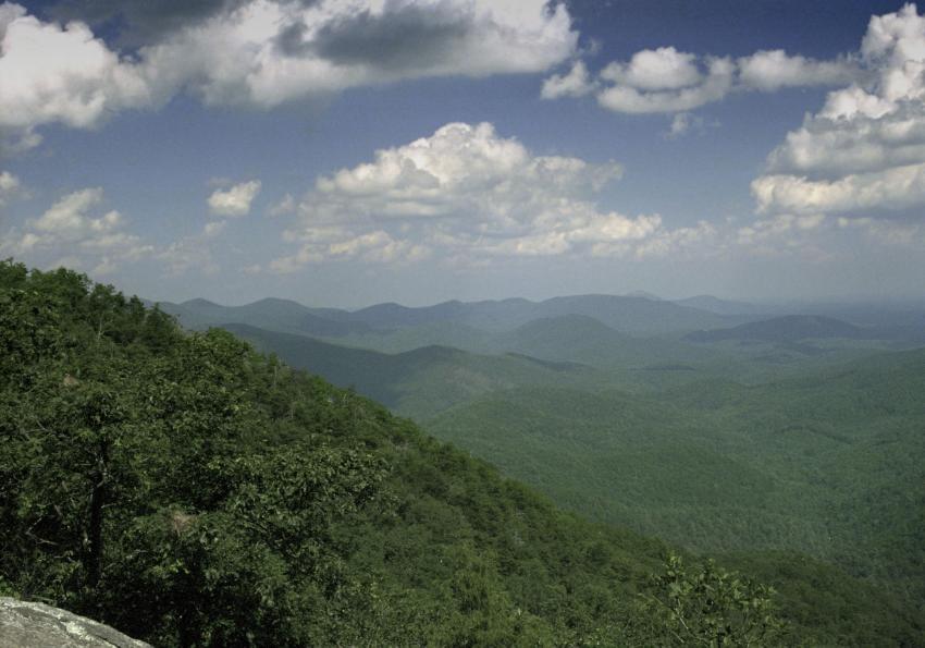 Spring Mountain Scene